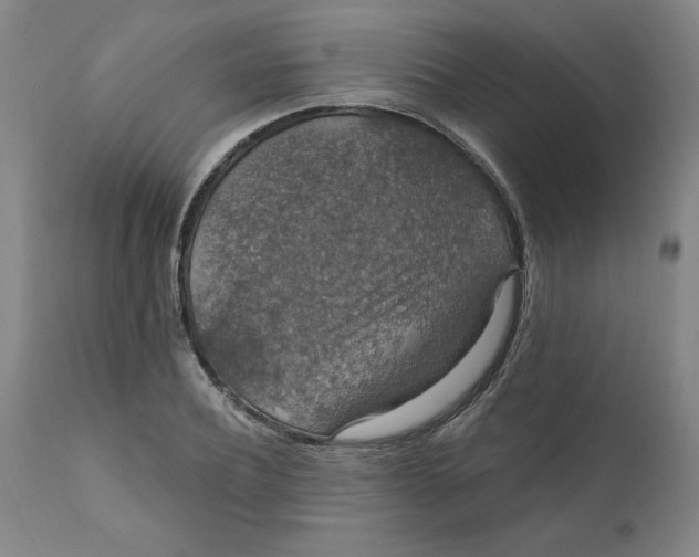 X0000112020932200908241511