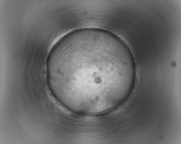 X0000112020933200908241511