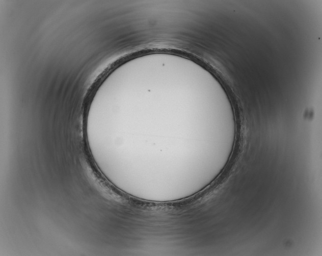 X0000112020934200908241511