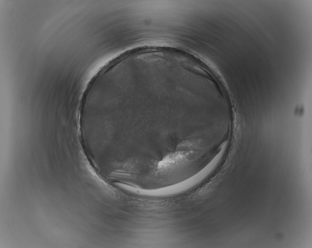 X0000112020935200908241511