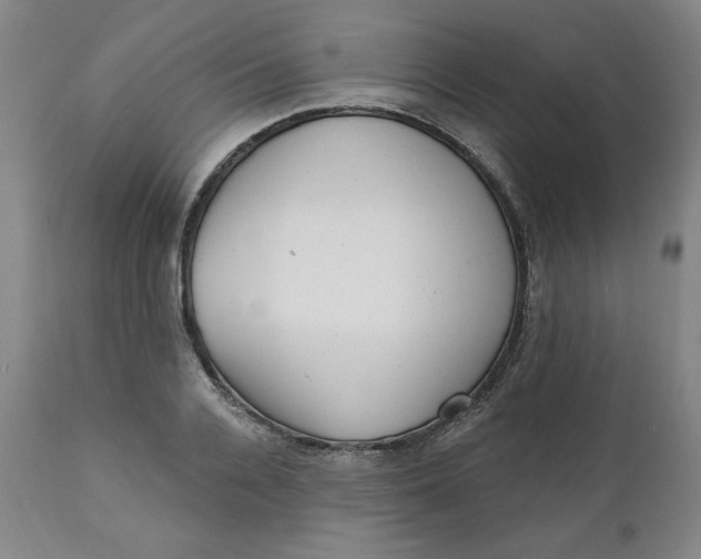 X0000112020936200908241511