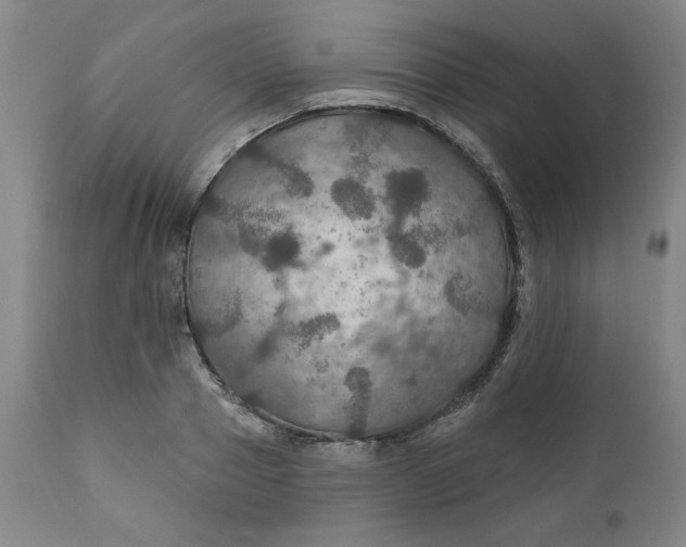 X0000112020937200908241511