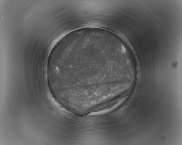 X0000112020939200908241511