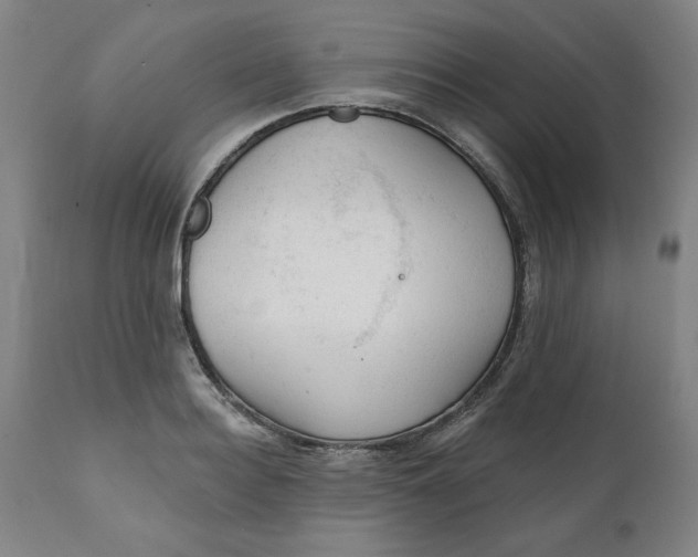 X0000112020940200908241511