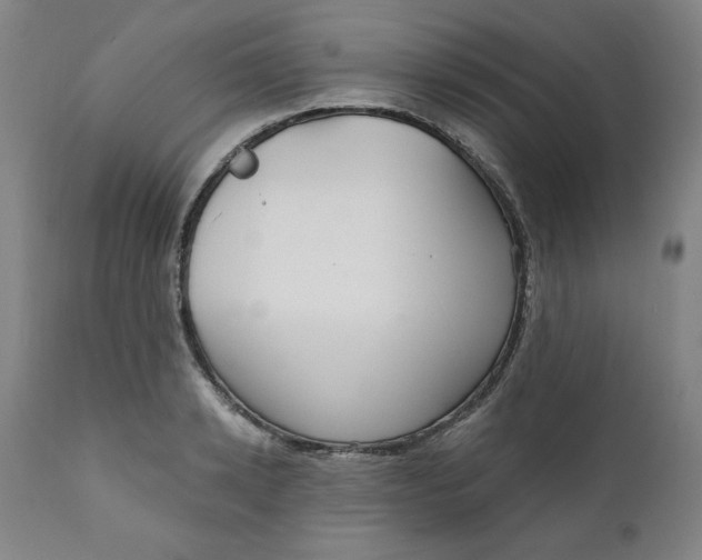 X0000112020942200908241511