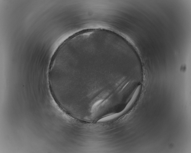 X0000112020943200908241511