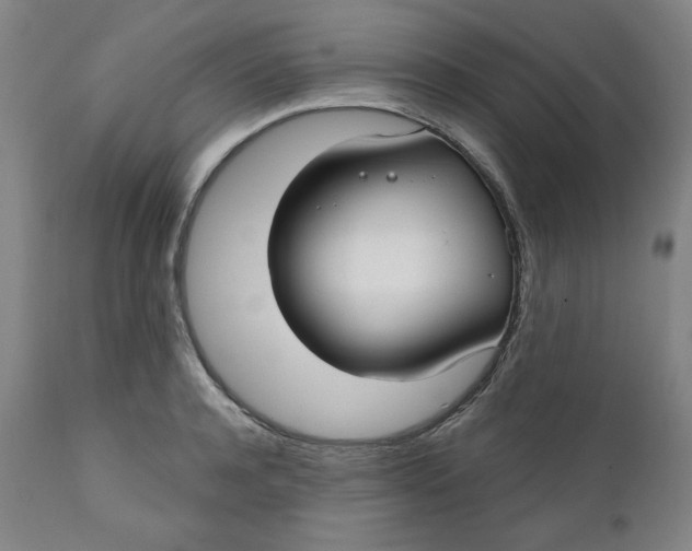 X0000112020944200908241511