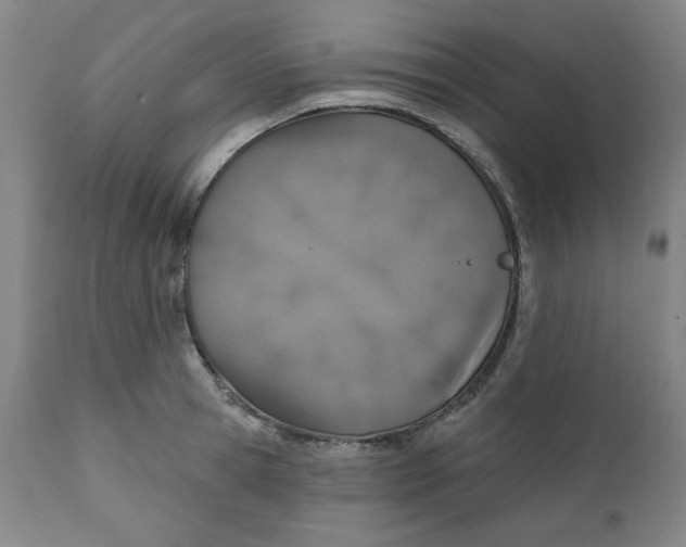 X0000112020945200908241511