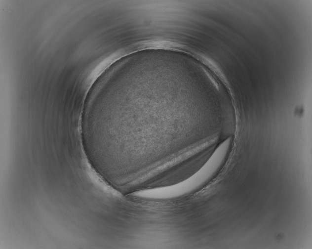 X0000112020946200908241511