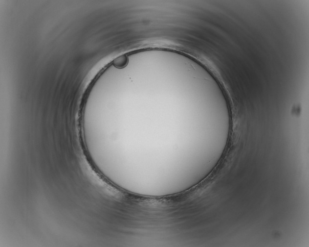 X0000112020947200908241511