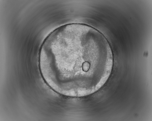 X0000112020950200908241511