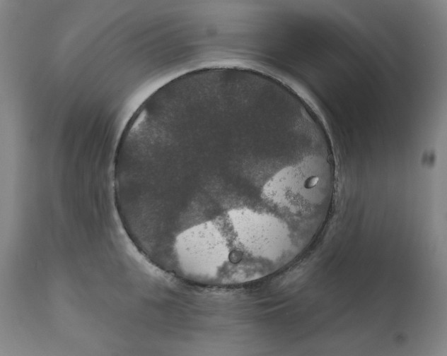 X0000112020951200908241512