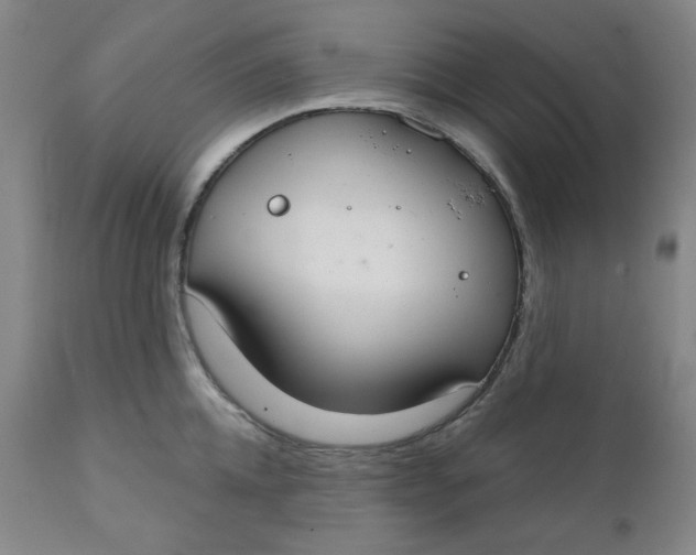 X0000112020952200908241512