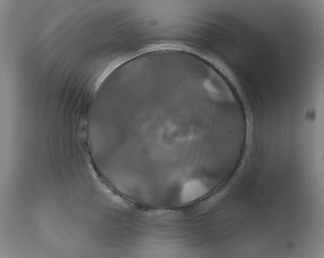 X0000112020953200908241512