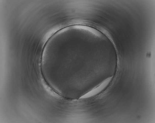 X0000112020954200908241512