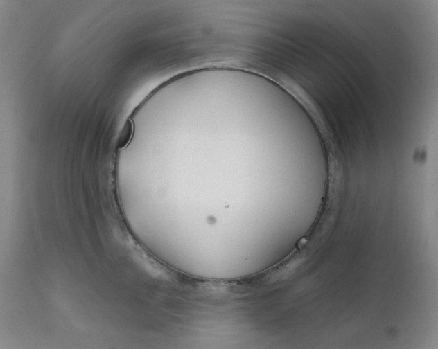 X0000112020956200908241512