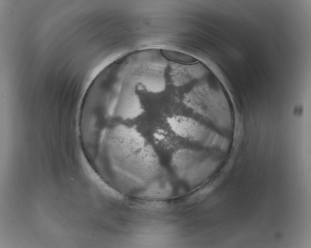 X0000112020957200908241512