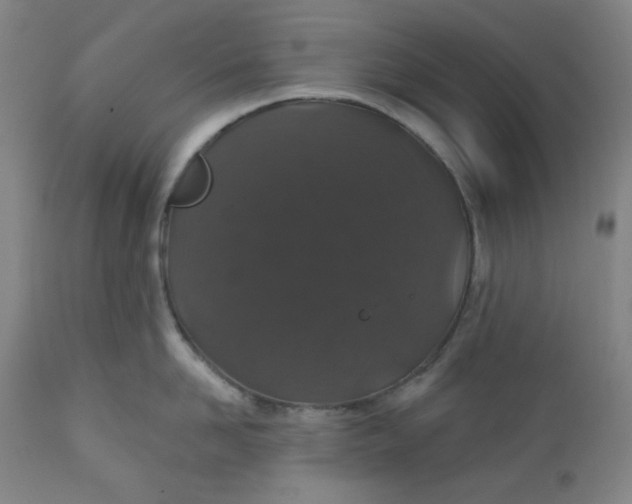 X0000112020958200908241512