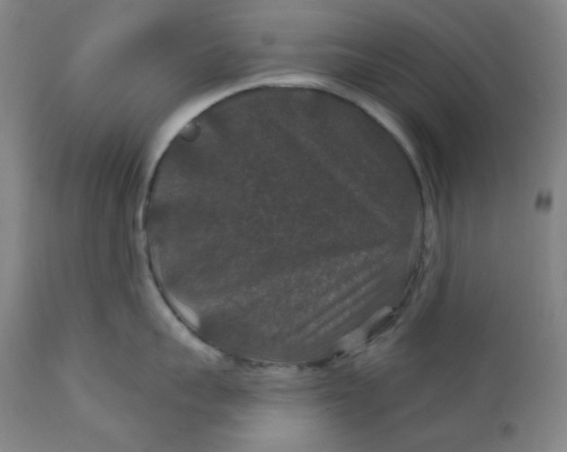 X0000112020959200908241512