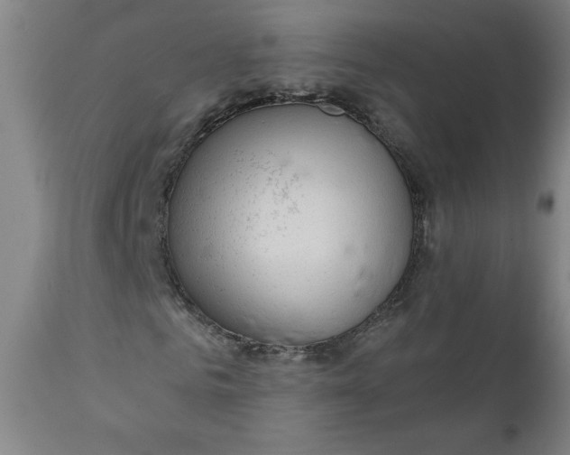 X0000112020961200908241511