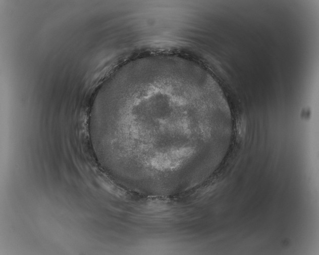 X0000112020964200908241511