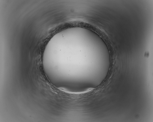 X0000112020965200908241511