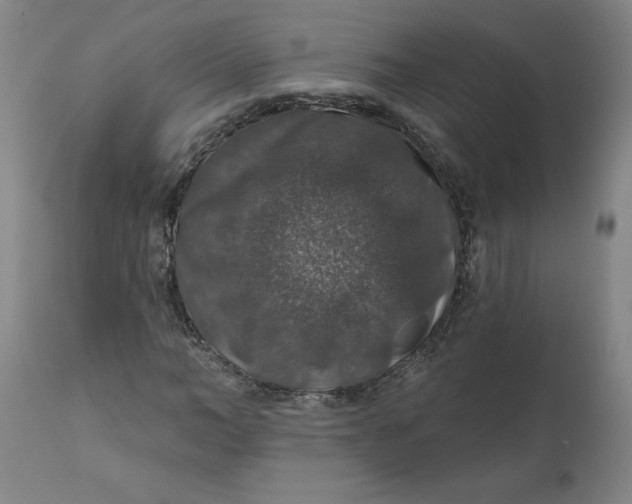 X0000112020966200908241511