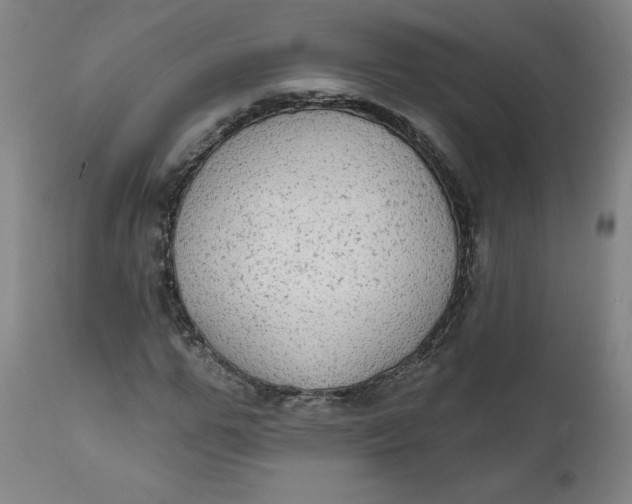 X0000112020967200908241511