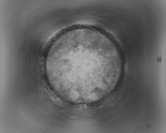 X0000112020968200908241511