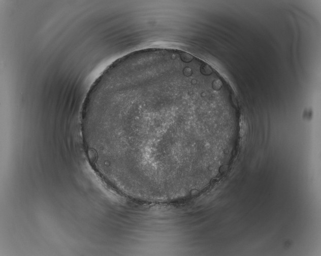 X0000112020972200908241511