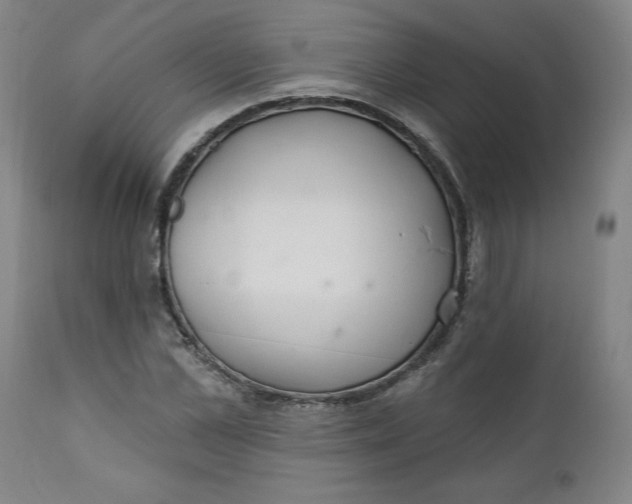 X0000112020973200908241511