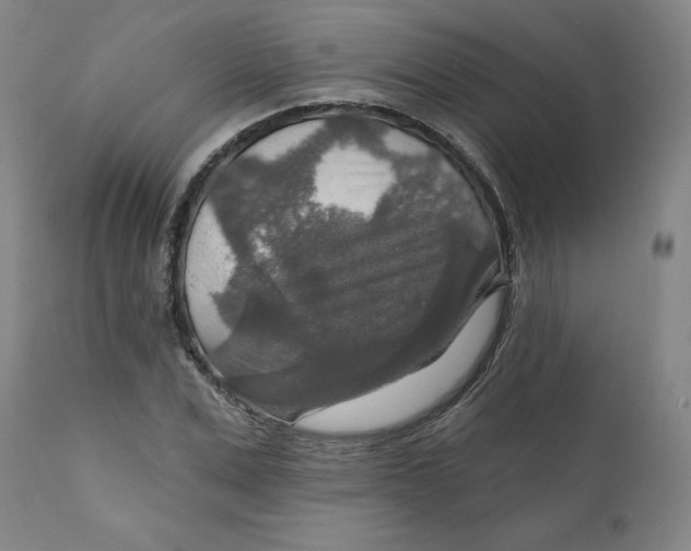 X0000112020975200908241511