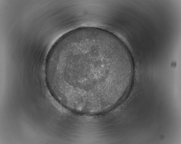 X0000112020976200908241511