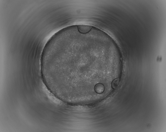 X0000112020980200908241511