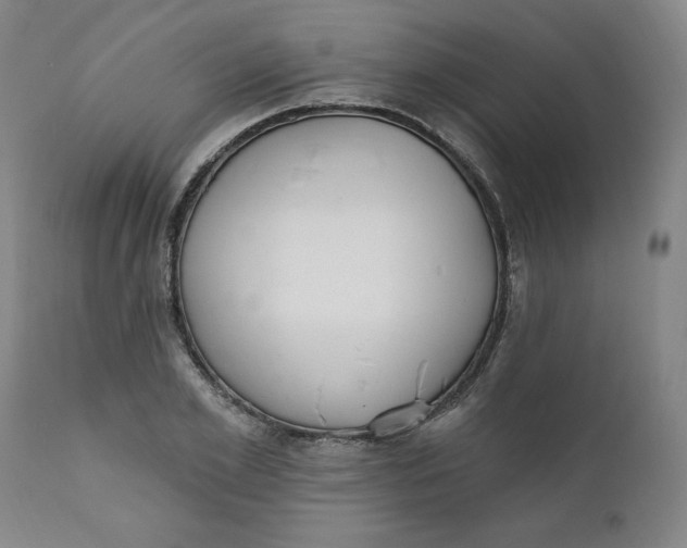 X0000112020981200908241511