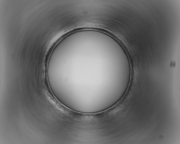 X0000112020982200908241511