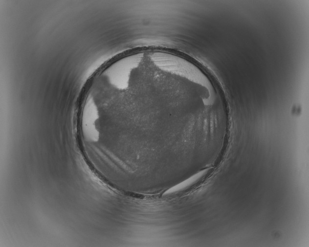 X0000112020983200908241511