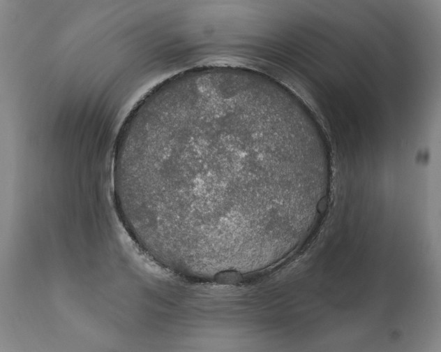 X0000112020984200908241511