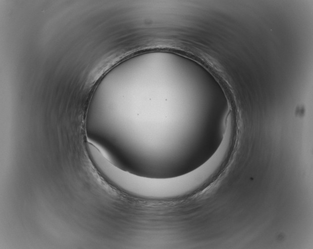 X0000112020985200908241511