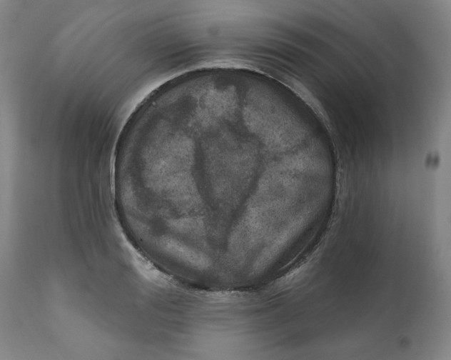 X0000112020988200908241511