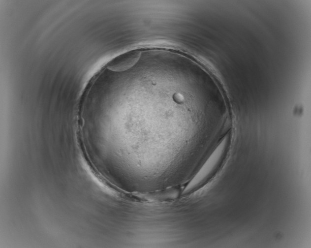 X0000112020989200908241511