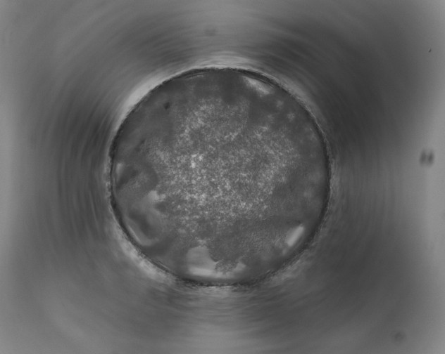 X0000112020990200908241510