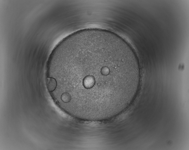 X0000112020991200908241510