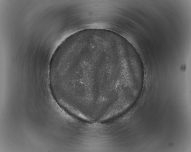 X0000112020992200908241510