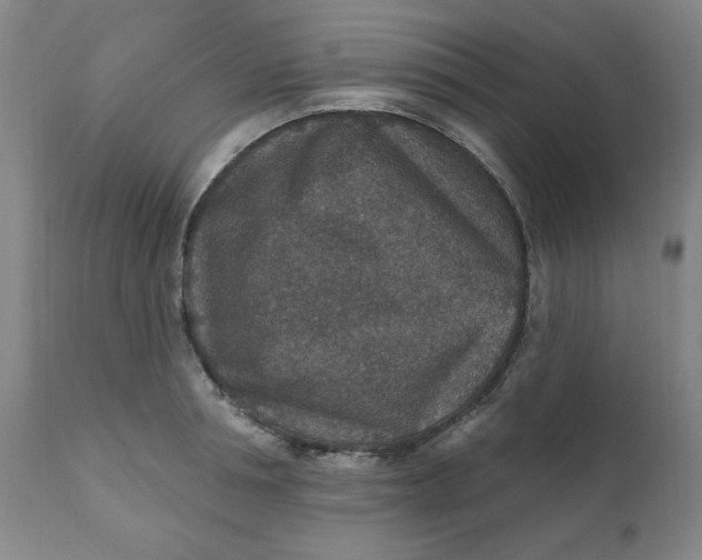 X0000112020994200908241510