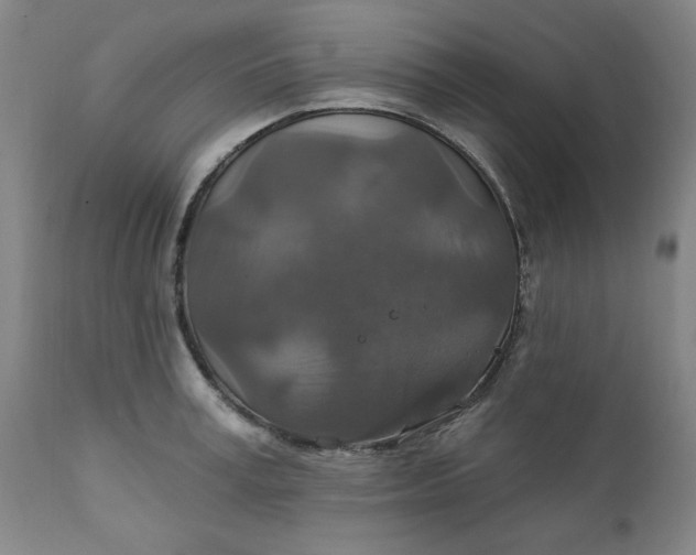 X0000112020995200908241510