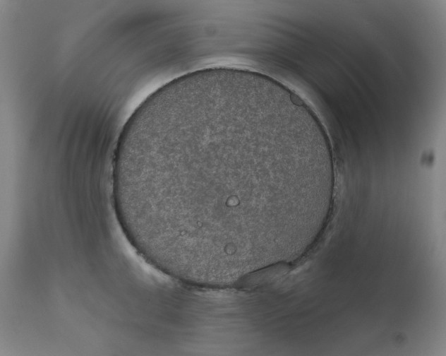 X0000112020999200908241510