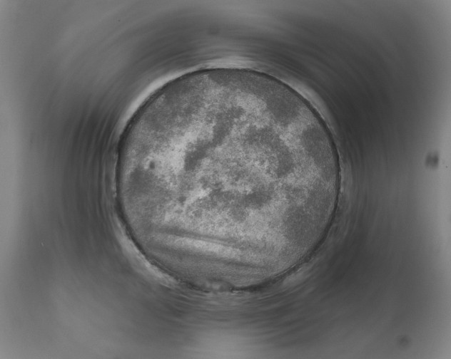 X0000112021000200908241510