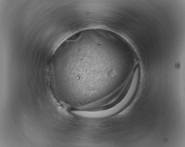 X0000112021001200908241510