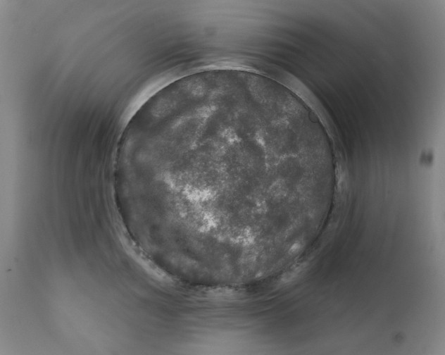 X0000112021002200908241510